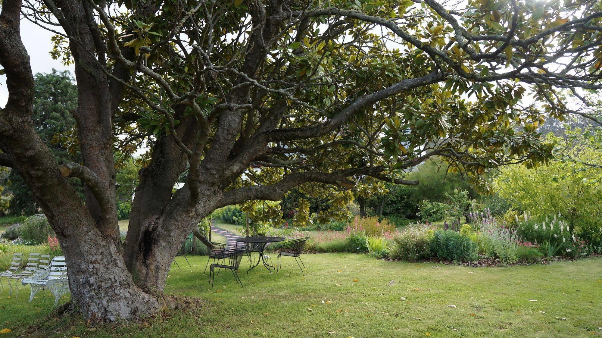 Roslyn House Bed & Breakfast Bushy Park Buitenkant foto