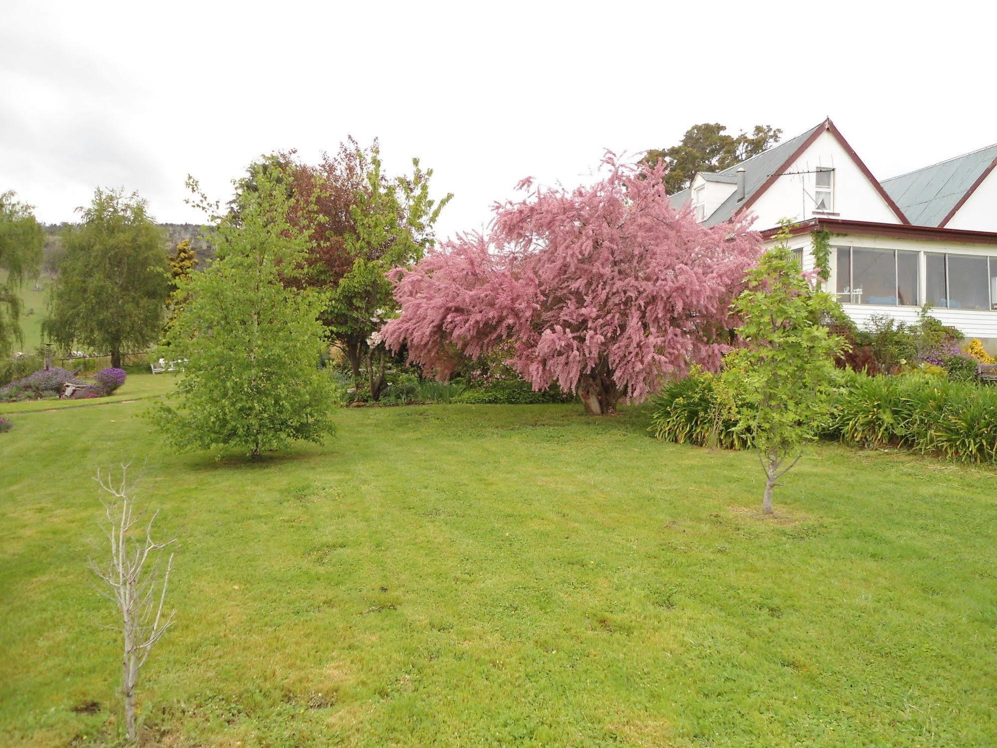 Roslyn House Bed & Breakfast Bushy Park Buitenkant foto