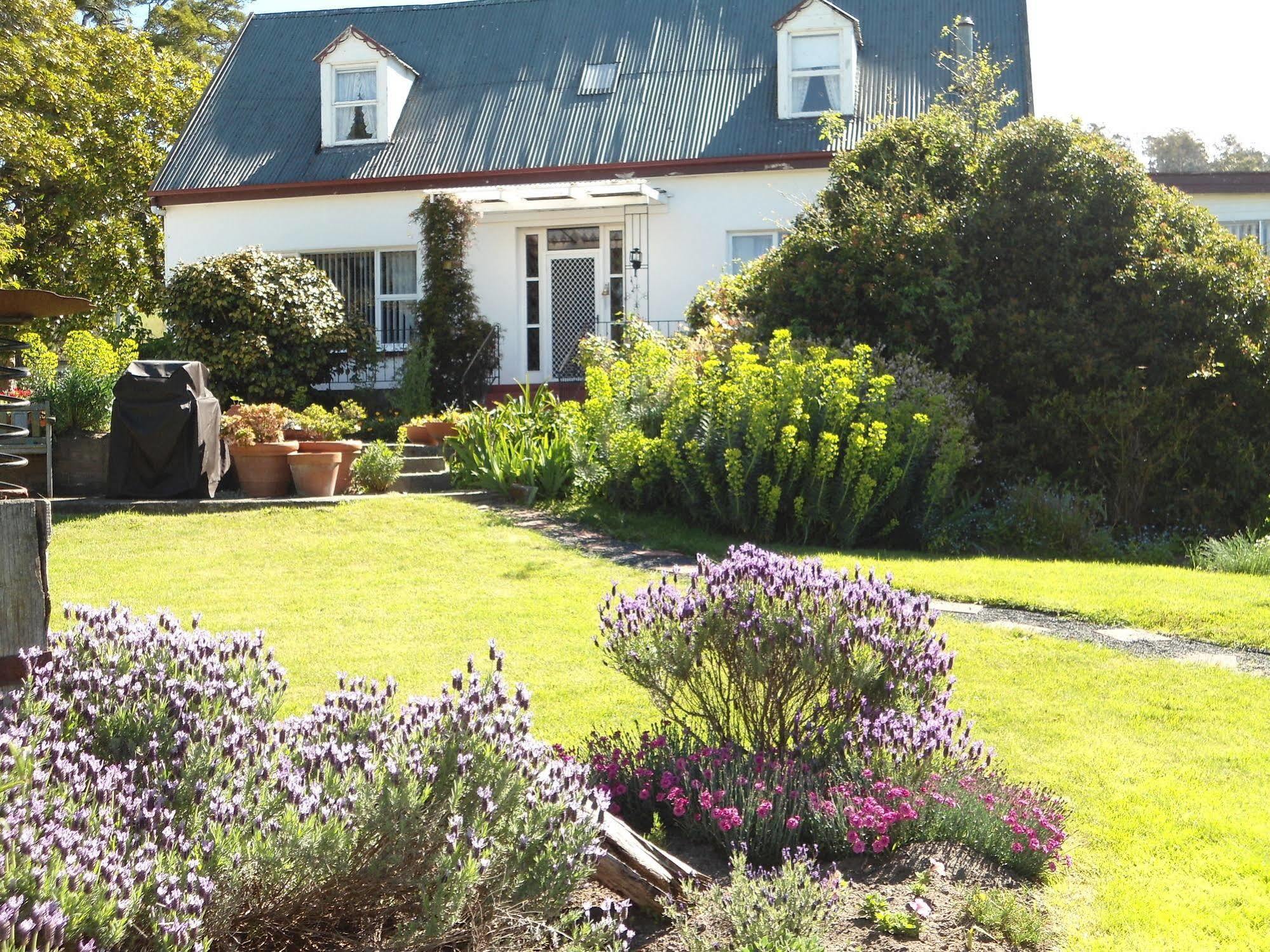 Roslyn House Bed & Breakfast Bushy Park Buitenkant foto